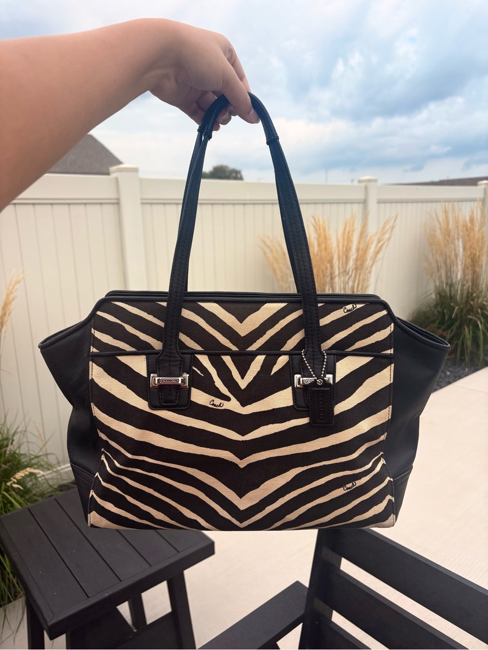 Coach Taylor Zebra Print Tote